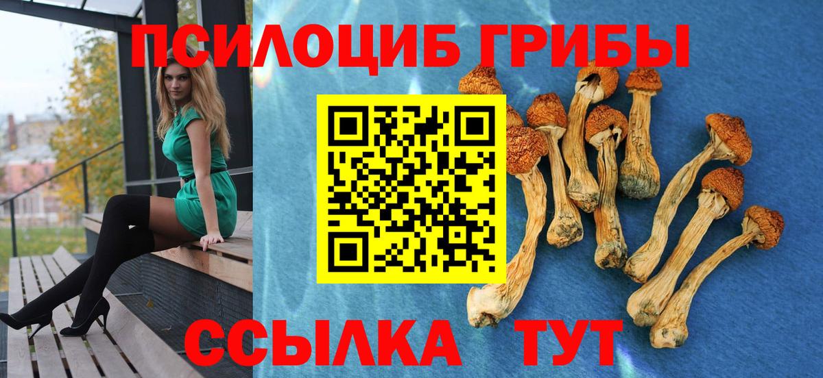 Комсомольск-на-Амуре  Галлюциногенные грибы GOLDEN TEACHER  Вход с VPN 